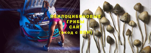 экстази Алексин
