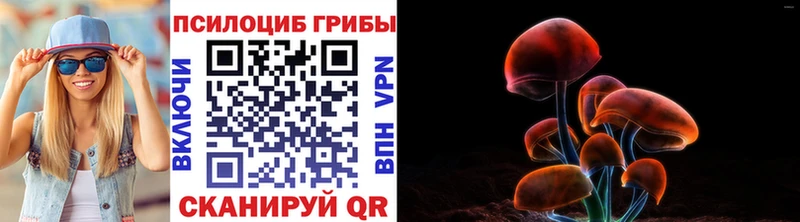 Галлюциногенные грибы ЛСД  наркошоп  Аргун 
